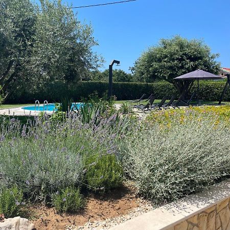 Apartments Sunny Estate Zaton  Εξωτερικό φωτογραφία