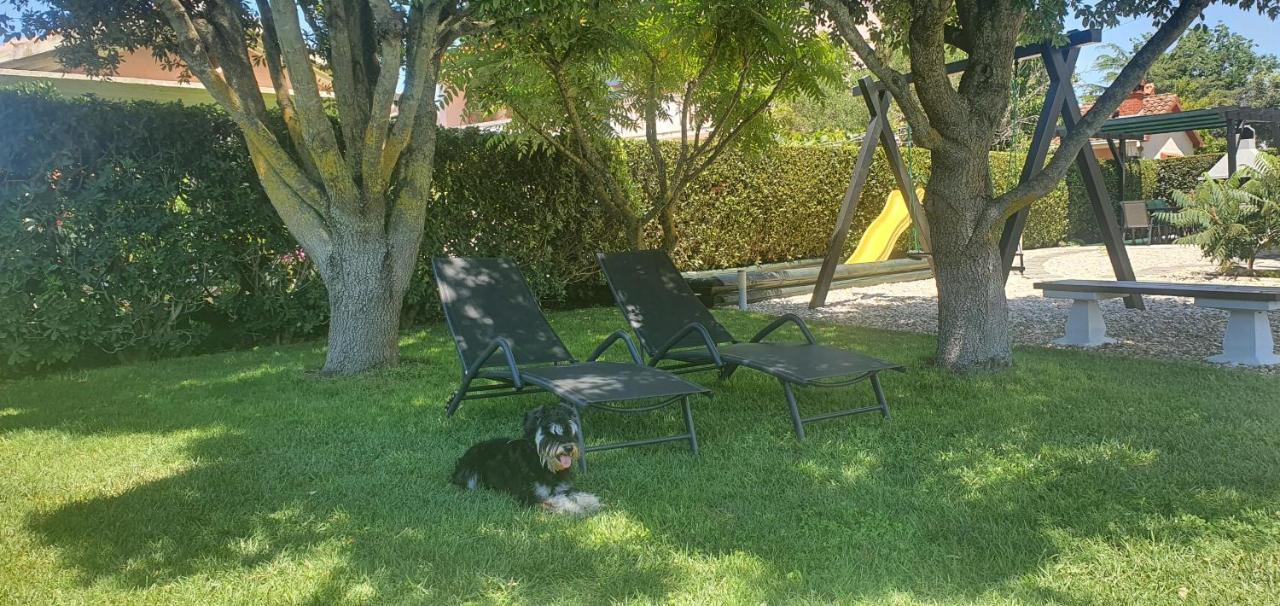 Apartments Sunny Estate Zaton  Εξωτερικό φωτογραφία