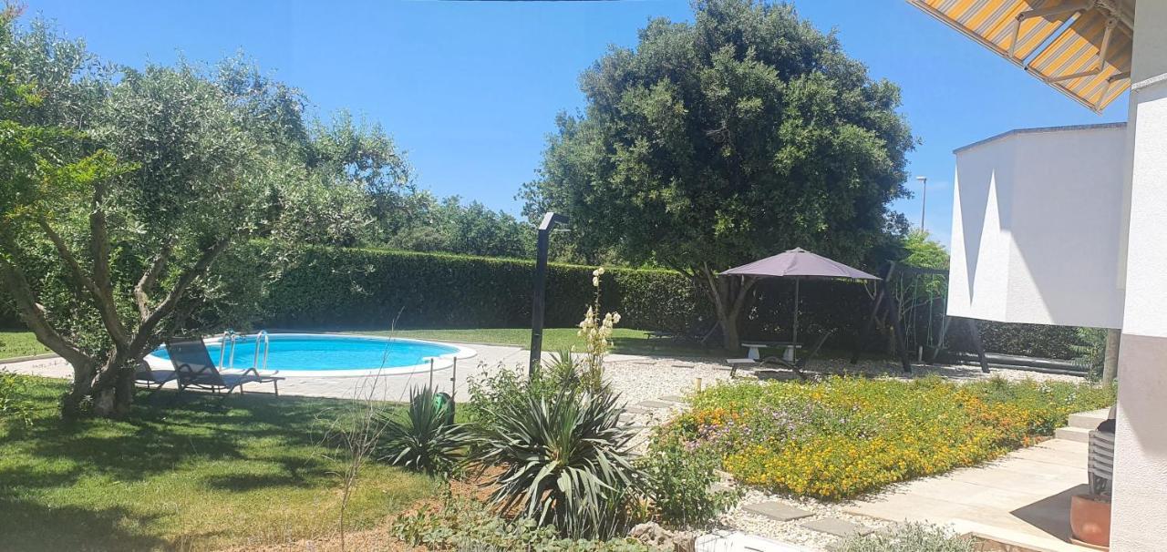 Apartments Sunny Estate Zaton  Εξωτερικό φωτογραφία
