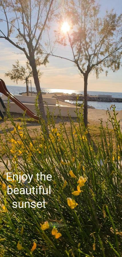 Apartments Sunny Estate Zaton  Εξωτερικό φωτογραφία