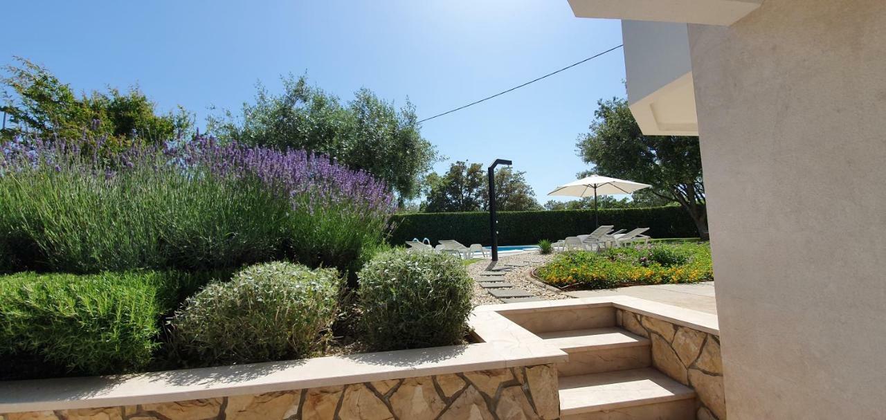 Apartments Sunny Estate Zaton  Εξωτερικό φωτογραφία